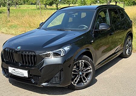 BMW X1 23 d xDrive M Sport LED Kamera Memory AHK 19"