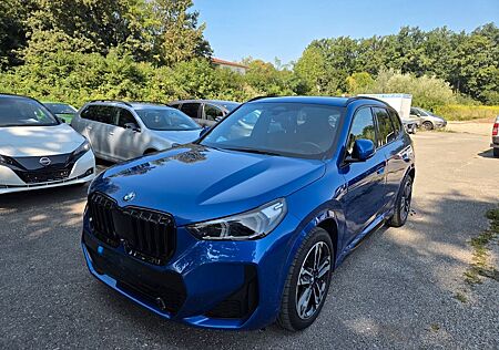 BMW X1 Baureihe 23 d xDrive M Sport,Panaromadach