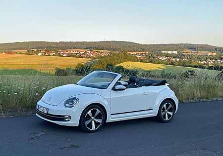 VW Beetle Volkswagen 1.2 TSI BMT CUP Cabriolet CUP Leder Xenon