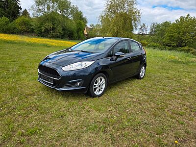 Ford Fiesta 1,0 EcoBoost