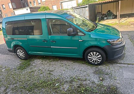 VW Caddy Volkswagen Nfz Maxi Kasten BMT TOP TOP