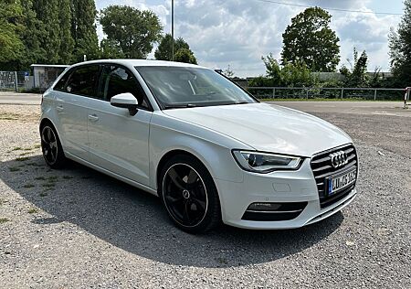 Audi A3 2.0 TDI S tronic Ambition / S-Line 18 Zoll