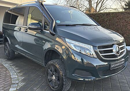 Mercedes-Benz V 250 CDI IGLHAUT 4X4 u. 3 Sperren AVANTGARDE
