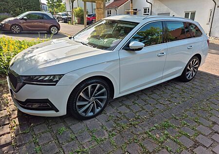 Skoda Octavia 2.0 TDI Combi First Edition Sthzg, AHK,