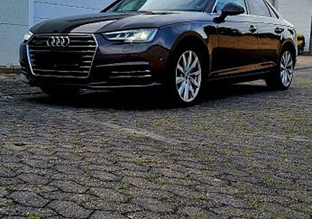Audi A4 gebraucht kaufen Audi A4 2.0 TDI 140kW S tronic quattro design design