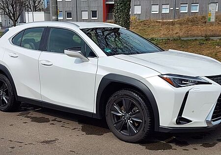 Lexus UX 200 Luxury Line Luxury Line