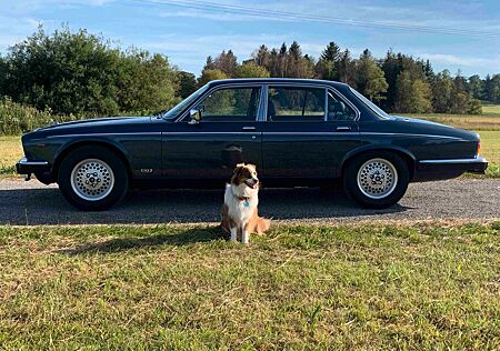 Jaguar Daimler Double Six - 100% Original WGA 25.000,-