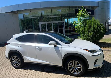 Lexus NX 300 h Executvie Line, P-Navi, ACC, SHZ
