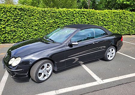 Mercedes-Benz CLK 500 Avantgarde Cabrio 5.0l V8