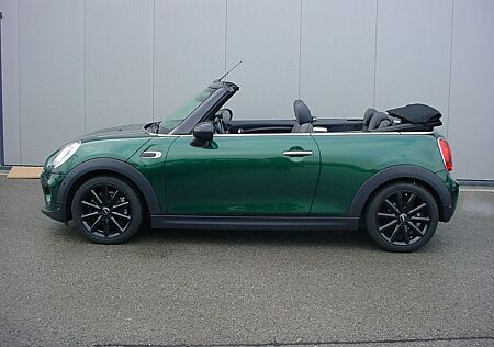 Mini Cooper Cabrio *Sportsitz*PDC*DAB*Navi