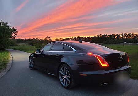 Jaguar XJ R-Sport 3.0 V6 Service