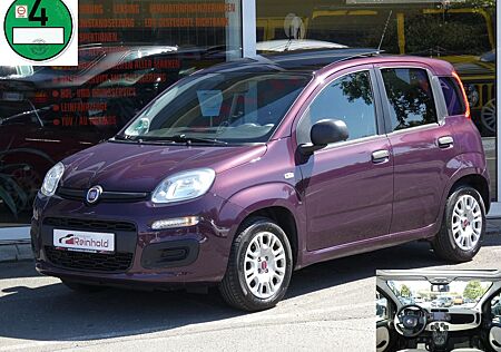 Fiat Panda My 1.2 LED Klima Panorama Sitzheizung 1.Hd