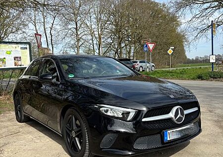Mercedes-Benz A 220 A220 Progressive | Panorama | LED | Garantie
