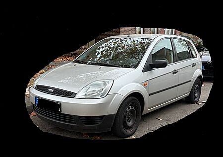 Ford Fiesta 1,3 44kW