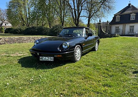 Alfa Romeo Spider