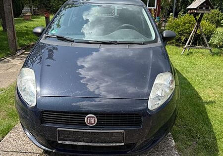 Fiat Punto 1.2 8V POP POP