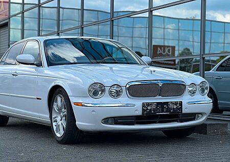 Jaguar XJ8 4.2 Liter Executive Luxus Xenon Alpina