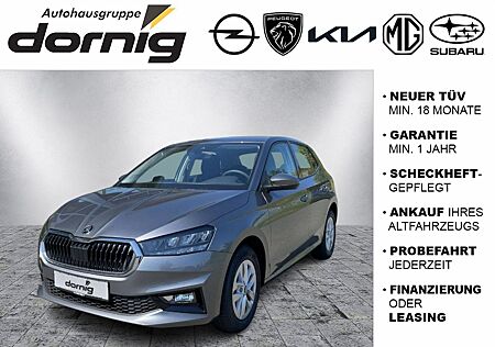 Skoda Fabia Edition,Kamera,Wi-Pak.,5 J.Gar