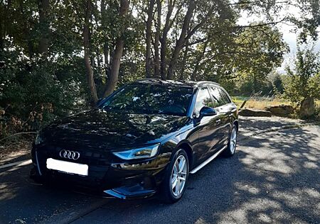 Audi A4 gebraucht kaufen Audi A4 35 TDI S tronic Avant -