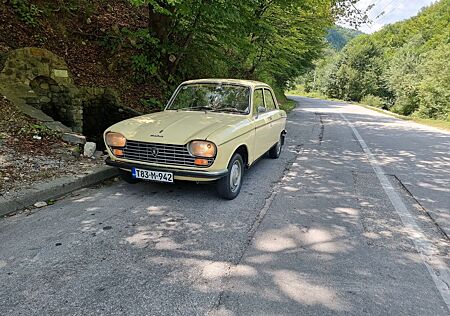 Peugeot 204