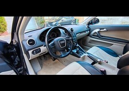 Audi A3 1.6 Ambition Ambition