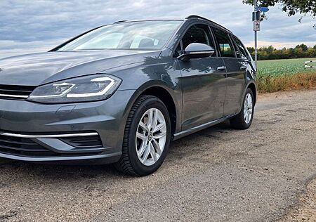 VW Golf Volkswagen VII 1.5 TSI ACC/AHK/Standheizung