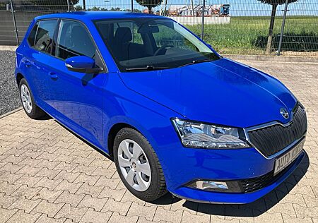 Skoda Fabia Active 1.0MPI 1.Hand DAB+ Klima