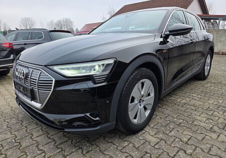 Audi e-tron 50 quattro AHK Pano LED Luftfed. el.Heckl