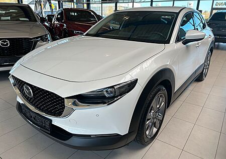 Mazda CX-3 CX-30 Selection Automatik