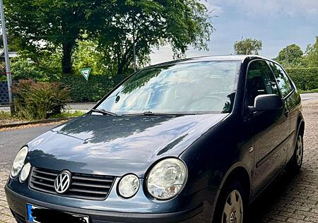 VW Polo Volkswagen Zuverlässiger in gepflegtem Zustand