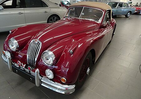 Jaguar XK XK140 Convertible Einer der Besten!!