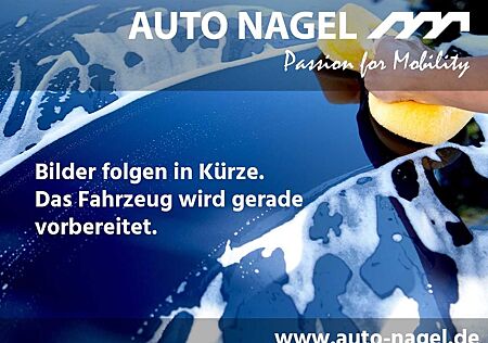 Ford Capri Premium 77kWh AHK WP Panoramadach