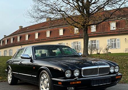 Jaguar Daimler Double Six 6.0 V12 Seltene Kurzversion
