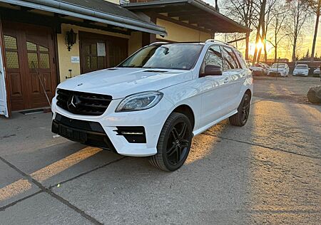 Mercedes-Benz ML 350 CDI 4Matic AMG Pano 8 Fach Bereift AHK