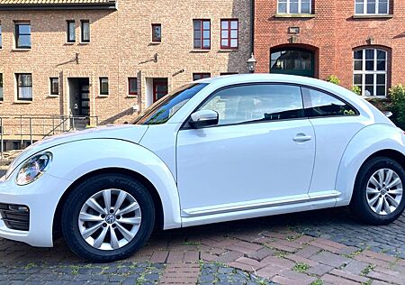 VW Beetle Volkswagen 2.0 TSI Final Edition Auto+Kamera+NeuTÜV