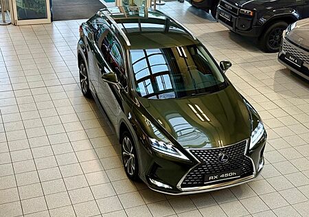 Lexus RX 450h - EXECUTIVE-20 ZOLL-12.3 NAVI--29.390,-