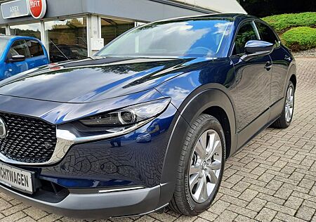 Mazda CX-3 CX-30 Selection 2WD/AUTOMATIK/SCHECKHEFTGEPFLEGT