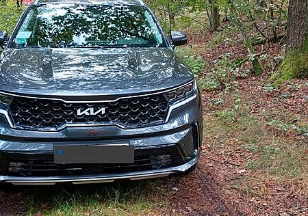Kia Sorento 1.6 T-GDI Hybrid AWD Platinum Auto P...