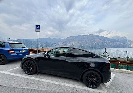 Tesla Model Y Performance Dual Motor AWD Performance