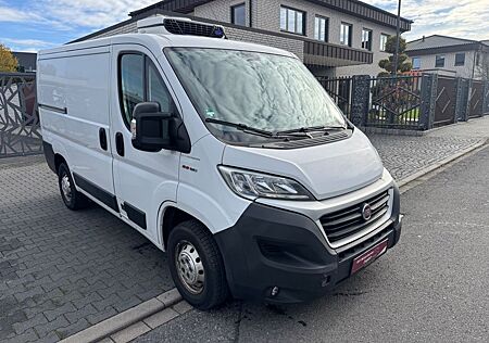Fiat Ducato Kasten Kühler