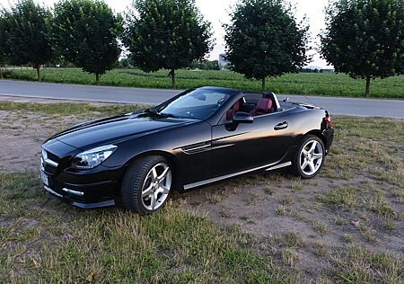 Mercedes-Benz SLK 350 BlueEFFICIENCY Autom. -