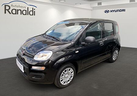 Fiat Panda MILD-HYBRID++TAGESZULASSUNG!+HAMMERPREIS!