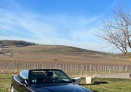 Mercedes-Benz E 220 FINAL EDITION W124