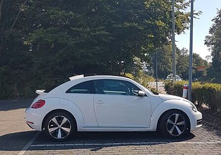 VW New Beetle Volkswagen 1,2 Design