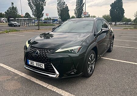 Lexus UX 250h Luxury Line Luxury Line