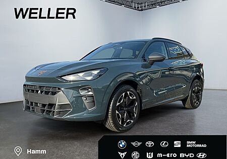 Cupra Terramar gebraucht kaufen Cupra Terramar 2.0 TSI 4Drive DSG VZ *Matrix*360°*DCC*
