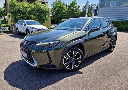 Lexus UX 250h Luxury mit ESD und AHK