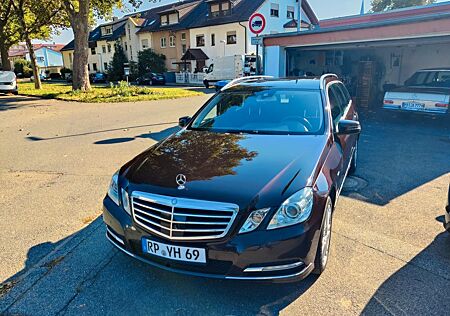 Mercedes-Benz E 220 CDI T BlueEFFICIENCY Top Zustand