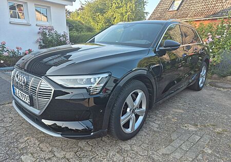 Audi e-tron 50 quattro advanced, Navi,AHK,Scheckheft