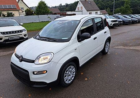 Fiat Panda Pandina / Virtual Cockpit